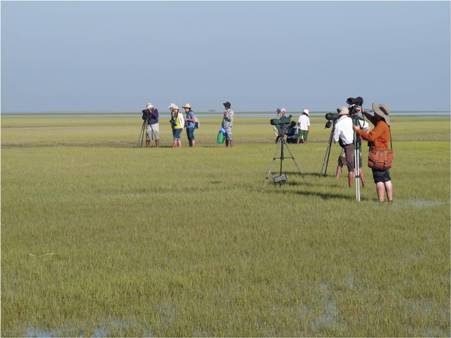Members surveying at Gulf of Martaban © Christoph Zöckler 